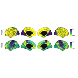 ../../_images/sphx_glr_plot_tutorial0_thumb.png